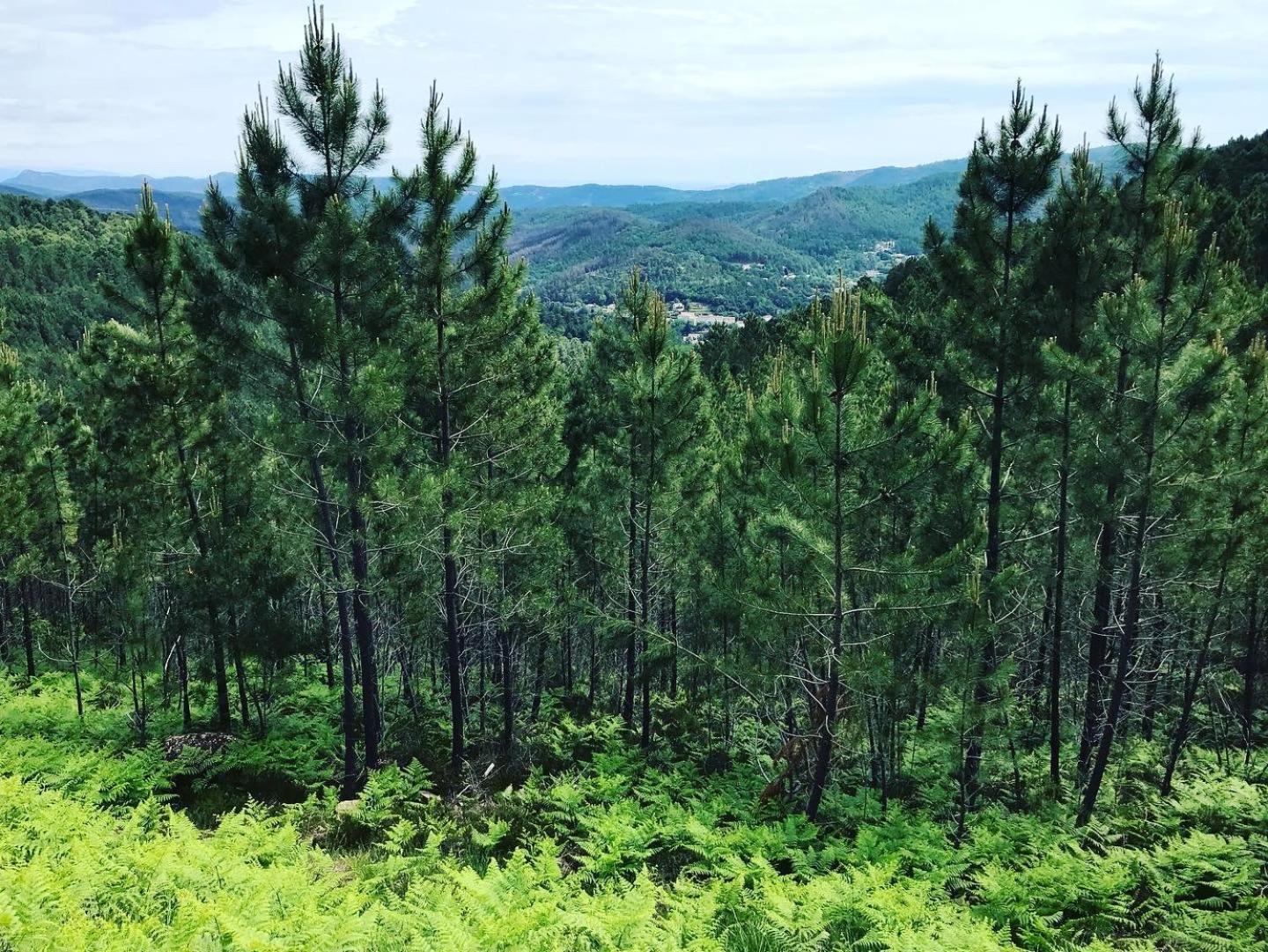Detente Au Coeur Des Cevennes Besseges Exterior photo